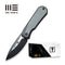 WEKNIFE Baloo Mystery Box Front Flipper & Thumb Hole Knife Black Titanium Handle With Gray G10 Inlay (3.31" Black Stonewashed CPM 20CV Blade, Satin Flat) WE21033 - 1 MB, With One Free Mystery WE Or CIVIVI Model