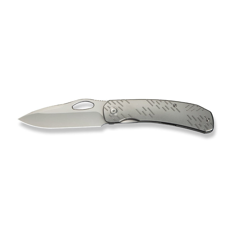 WEKNIFE Inmate Front Flipper & Thumb Hole Knife Gray Titanium Handle & Raindrops (3.7" Stonewashed CPM 20CV Blade) WE23096B - 1