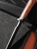 WEKNIFE Sabres Fixed Blade Knife with 4.88" Satin Finished 14C28N Blade WE43578 - We Knife