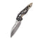 WEKNIFE Arrakis Flipper Knife Titanium Handle With Carbon Fiber Inlay (3.45" M390 Blade) | Freeshipping - We Knife