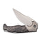WEKNIFE Blocao Thumb Stud Knife Titanium & Carbon Fiber (4.21" CPM S35VN Blade) 920A