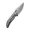 WEKNIFE Riff-Raff Thumb Stud Knife Gray Titanium Handle (3.12" Gray Stonewashed CPM 20CV Blade) WE22020B-3