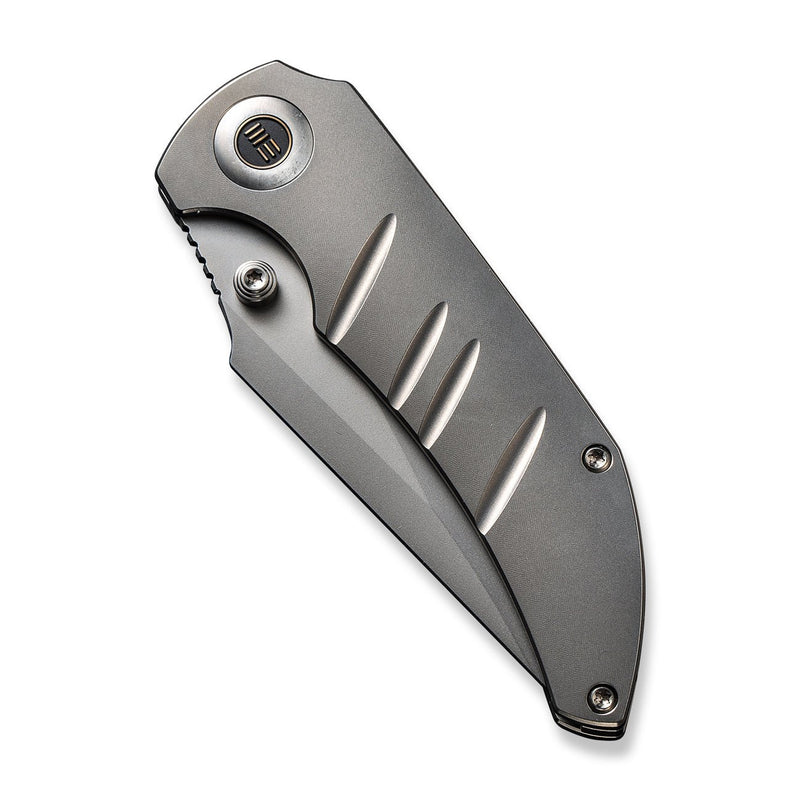 WEKNIFE Riff-Raff Thumb Stud Knife Polished Bead Blasted Titanium Handle (3.12" Polished Bead Blasted CPM 20CV Blade) WE22020B-4