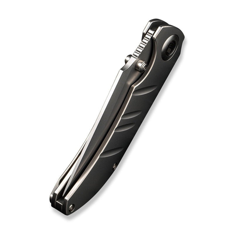 WEKNIFE Riff-Raff Thumb Stud Knife Polished Bead Blasted Titanium Handle (3.12" Polished Bead Blasted CPM 20CV Blade) WE22020B-4